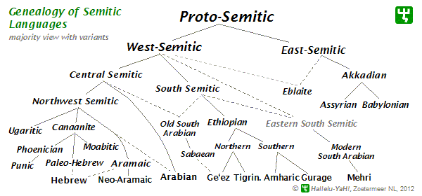 semitic-languages-tree.gif